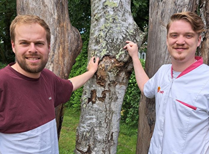 Samen versterken we de buurt